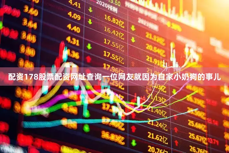 配资178股票配资网址查询一位网友就因为自家小奶狗的事儿